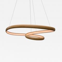 John Procario John Procario Freeform Light Series Sculpture XXXIX USA 2024 - 4102870