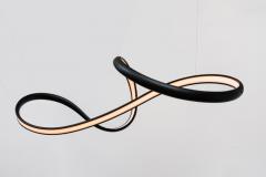 John Procario John Procario Freeform Series Light Sculpture XI USA 2022 - 4031830