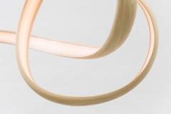 John Procario John Procario Freeform Series Light Sculpture XXV USA 2020 - 4031570