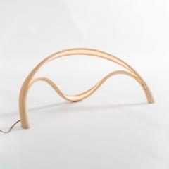 John Procario John Procario Luminaire VI USA 2021 - 4031702