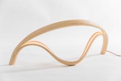 John Procario John Procario Luminaire VI USA 2021 - 4031752