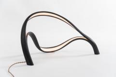 John Procario John Procario Luminaire VII USA 2021 - 4031694