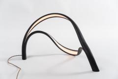 John Procario John Procario Luminaire VII USA 2021 - 4031695