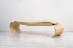 John Procario John Procario Posterior Bench USA 2019 - 4031821