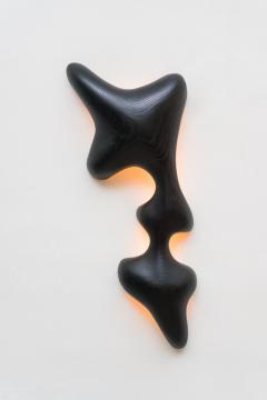 John Procario John Procario Terraqueous Wall Light Sculpture I USA 2022 - 4031710