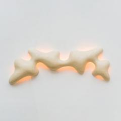 John Procario John Procario Terraqueous Wall Light Sculpture II USA 2022 - 4031768