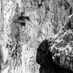 John Stathatos Homage to Heraclitus Earth I Black and White Landscape Photograph of a Cave - 3816909