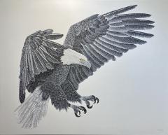 Jonah Waterous Fly Like an Eagle  - 4320997