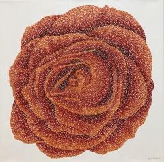 Jonah Waterous Red Rose - 3501484