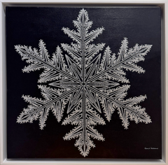 Jonah Waterous Snowflake on Black 0189 - 4499045