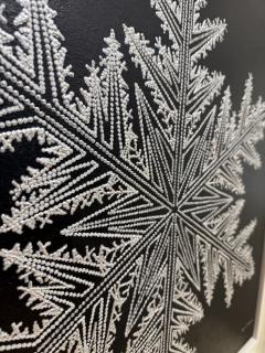 Jonah Waterous Snowflake on Black 0189 - 4499046