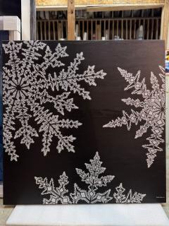 Jonah Waterous Snowflake on Black 0193 - 4499047