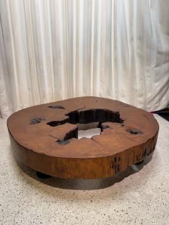Jos Zanine Caldas Solid Tree Trunk Coffee Table Made of a Thick Cross Section of Vinhatico Wood - 4620016