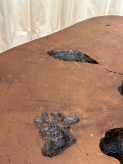 Jos Zanine Caldas Solid Tree Trunk Coffee Table Made of a Thick Cross Section of Vinhatico Wood - 4620048