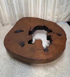 Jos Zanine Caldas Solid Tree Trunk Coffee Table Made of a Thick Cross Section of Vinhatico Wood - 4620055