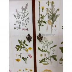 Josef Frank 1940 s Swedish Cabinet With Nordens Flora Illustrations - 4662707