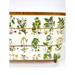 Josef Frank 1940 s Swedish Dresser With Nordens Flora Illustrations - 4239381