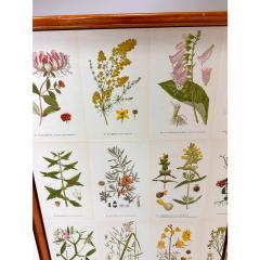 Josef Frank 1940s Swedish Cabinet With Nordens Flora Illustrations - 4469441