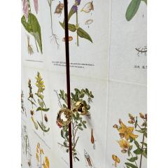 Josef Frank 1940s Swedish Cabinet With Nordens Flora Illustrations - 4469442