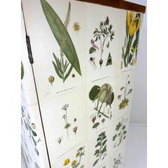 Josef Frank 1950 s Swedish Cabinet With Nordens Flora Illistrations - 3737281