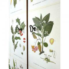 Josef Frank 1950 s Swedish Cabinet With Nordens Flora Illustrations - 4190152