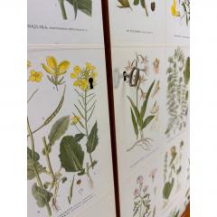 Josef Frank 1950 s Swedish Cabinet With Nordens Flora Illustrations - 4648688