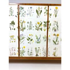 Josef Frank 1950s Swedish Cabinet With Nordens Flora Illustrations - 4358942