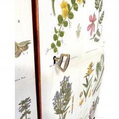 Josef Frank 1950s Swedish Cabinet With Nordens Flora Illustrations - 4571200