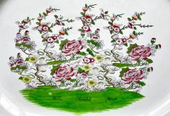 Josiah Spode II Rare Spode Willis Thatchd House London Trial Pattern Platter circa 1810 - 4602550