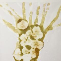 Josie Merck White Horse with Sycamore II - 4473419