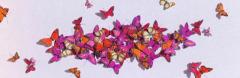 Juan Carlos Collada Together forever - 2270557