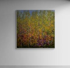 Judy Cheng Fall - 4477941