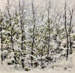 Judy Cheng Fresh Snowfall - 2958571