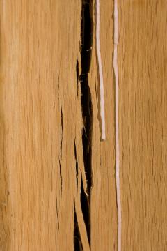 Jules Lobgeois French Contemporary Unique Solid Oak and Brass Tall Duramen - 4605775