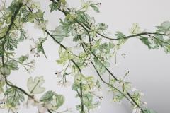 Julie Percillier Aub pine - 4466332