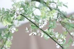 Julie Percillier Aub pine - 4466334