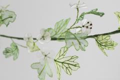 Julie Percillier Aub pine - 4466337