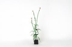 Julie Percillier Coquelicot - 4466311