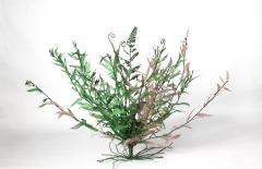 Julie Percillier Dentelle de foug re mauve - 4466326