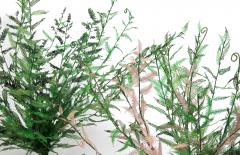 Julie Percillier Dentelle de foug re mauve - 4466329