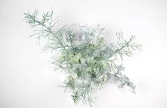 Julie Percillier Jardin d hiver - 4466302