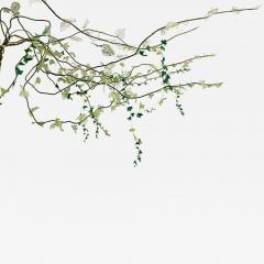 Julie Percillier Lierre - 4225831
