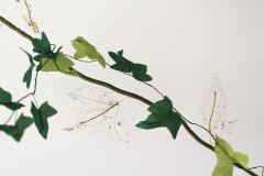 Julie Percillier Lierre - 4466348