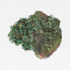 Julie Percillier Mousse verdoyante - 4466474