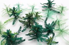 Julie Percillier Myriophyllium - 4466366