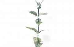 Julie Percillier Orties - 4466380