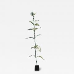 Julie Percillier Orties - 4466578