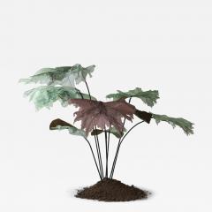 Julie Percillier Rhubarbe g ante - 4466561