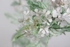 Julie Percillier Roseum M lodie Des Feuillages - 4466353