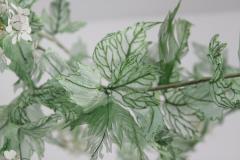 Julie Percillier Roseum M lodie Des Feuillages - 4466357